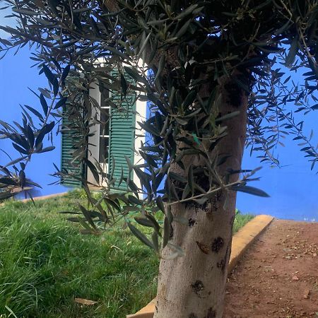 サン・マルティーニョ・ド・ポルト Casa Dos Manguesゲストハウス エクステリア 写真